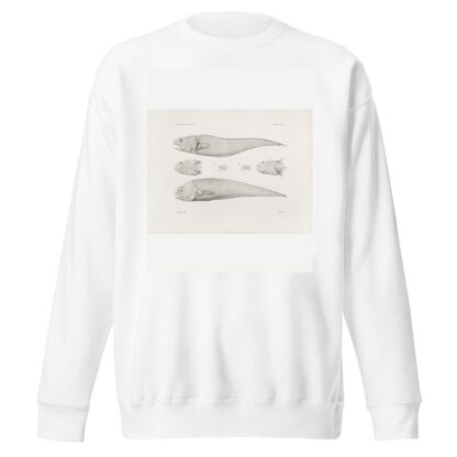 Memoirs of the Museum of Comparative Zoology at Harvard College Pl.40 by Harvard University. Museum of Comparative Zoology Sweatshirt