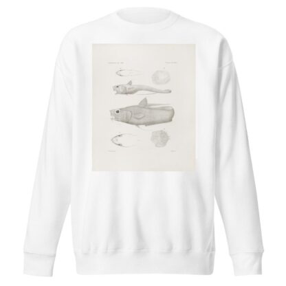 Memoirs of the Museum of Comparative Zoology at Harvard College Pl.46 by Harvard University. Museum of Comparative Zoology Sweatshirt