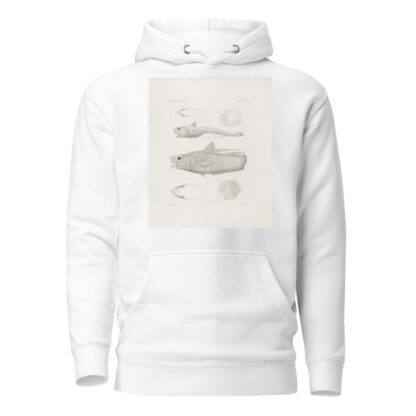 Memoirs of the Museum of Comparative Zoology at Harvard College Pl.46 by Harvard University. Museum of Comparative Zoology Hoodie