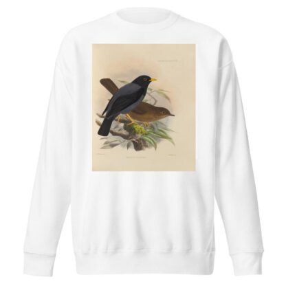 Merula Flavipes by Henry Seebohm Sweatshirt