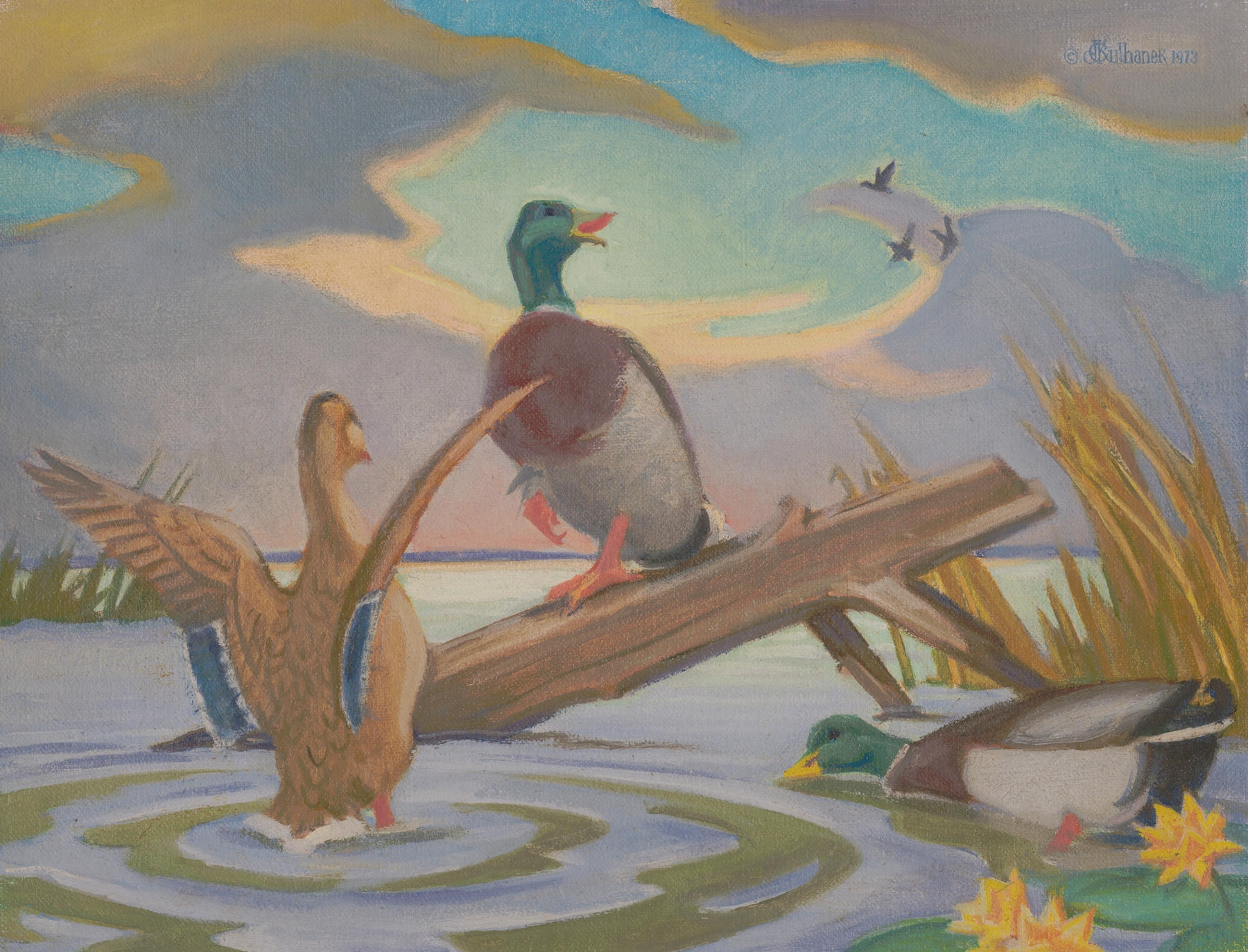 Migratory Marsh by James C. Kulhanek