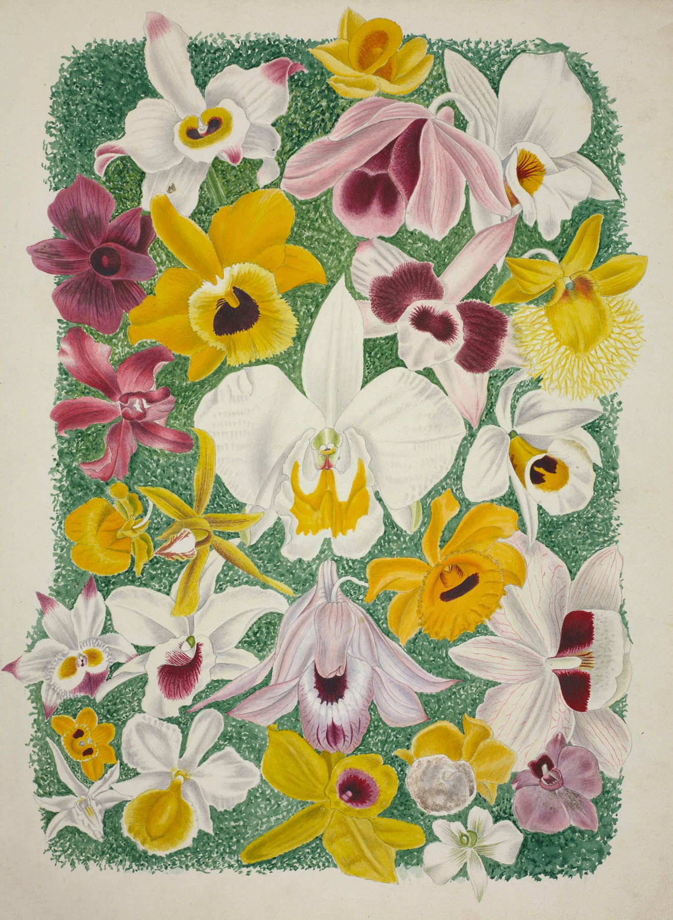 Mon Jardin a Ceylan Pl.002 by George De Alwis