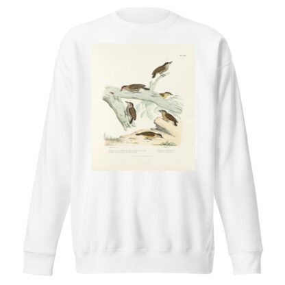 Monographie des picidées pl49 by Alfred Malherbe Sweatshirt