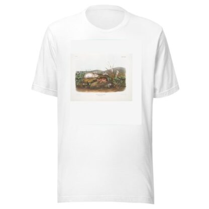 Myodes Hudsonius, Hudson Bay Lemming. Natural size. by John Woodhouse Audubon T-Shirt