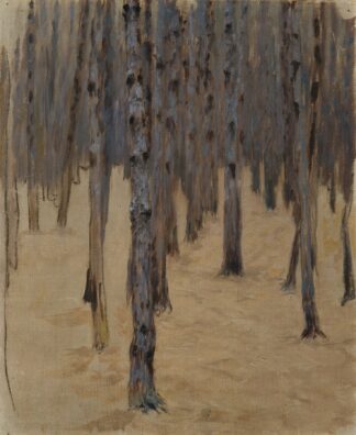 Nadelwald im Schnee by Koloman Moser
