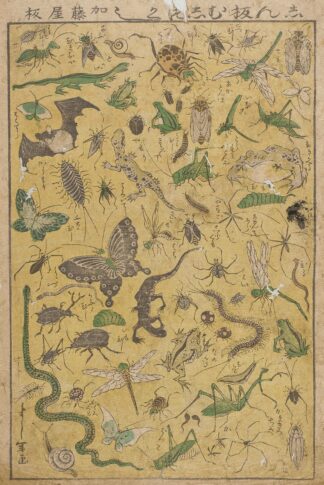 New Publication of Selected Insects by Tsukioka Yoshitoshi