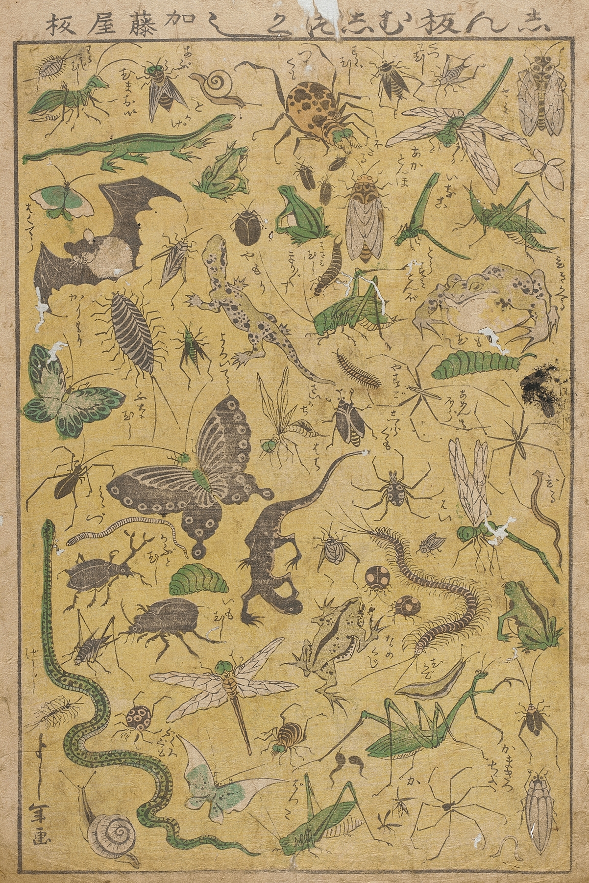 New Publication of Selected Insects by Tsukioka Yoshitoshi
