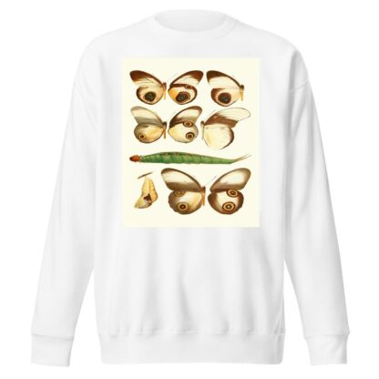 Novitates zoologicae pl 1 by Lionel Walter Rothschild Sweatshirt