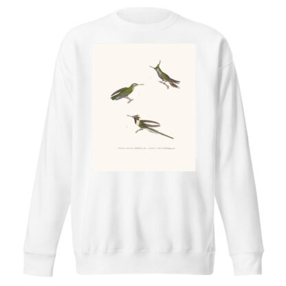 Oiseau-Mouche Lalande by Coenraad Jacob Temminck Sweatshirt