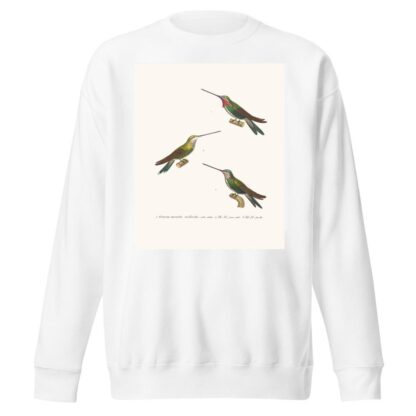 Oiseau Mouche Médiastin by Coenraad Jacob Temminck Sweatshirt