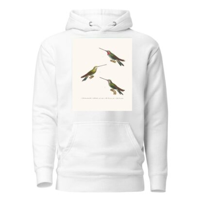 Oiseau Mouche Médiastin by Coenraad Jacob Temminck Hoodie