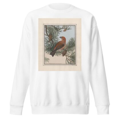 Original water-colour drawings of birds and eggs Pl.01 by John William Lewin Sweatshirt