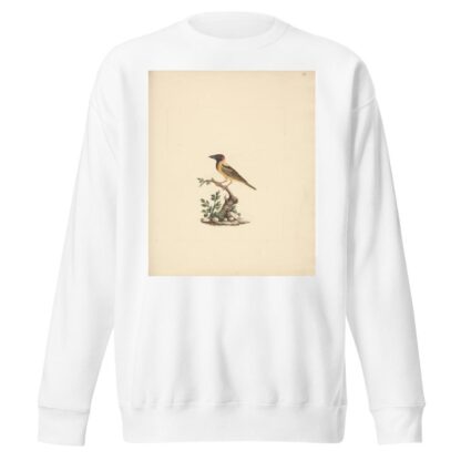 Oriolus monacha by Luigi Balugani Sweatshirt