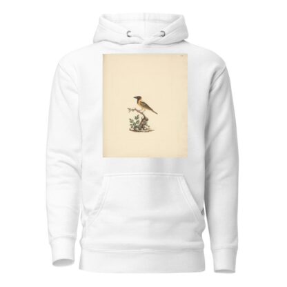 Oriolus monacha by Luigi Balugani Hoodie