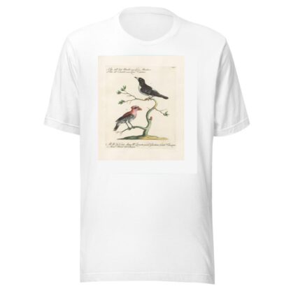 Ornithologia methodice digesta Pl.062 by Saverio Manetti T-Shirt