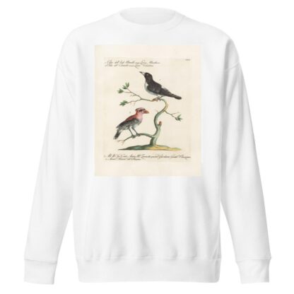 Ornithologia methodice digesta Pl.062 by Saverio Manetti Sweatshirt