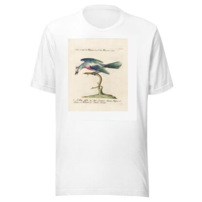 Ornithologia methodice digesta Pl.077 by Saverio Manetti T-Shirt