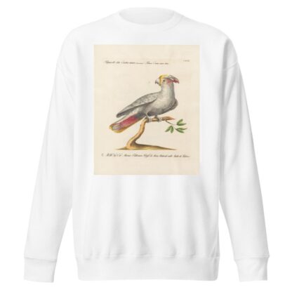 Ornithologia methodice digesta Pl.119 by Saverio Manetti Sweatshirt