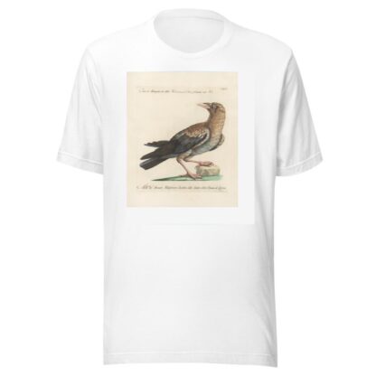 Ornithologia methodice digesta Pl.139 by Saverio Manetti T-Shirt