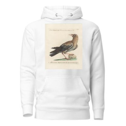 Ornithologia methodice digesta Pl.139 by Saverio Manetti Hoodie