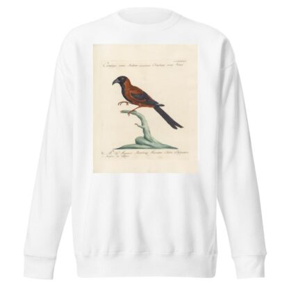 Ornithologia methodice digesta Pl.183 by Saverio Manetti Sweatshirt
