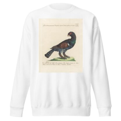 Ornithologia methodice digesta Pl.218 by Saverio Manetti Sweatshirt