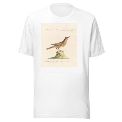 Ornithologia methodice digesta Pl.283 by Saverio Manetti T-Shirt