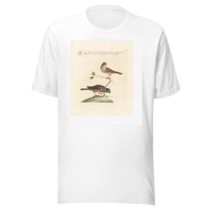 Ornithologia methodice digesta Pl.332 by Saverio Manetti T-Shirt