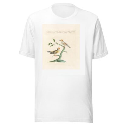 Ornithologia methodice digesta Pl.337 by Saverio Manetti T-Shirt