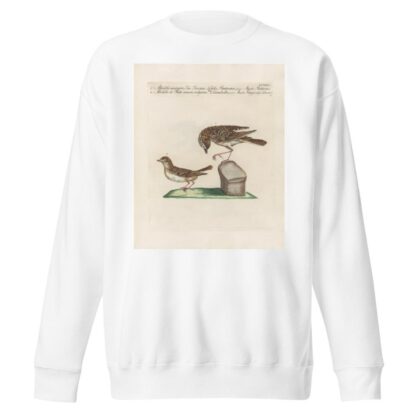 Ornithologia methodice digesta Pl.357 by Saverio Manetti Sweatshirt