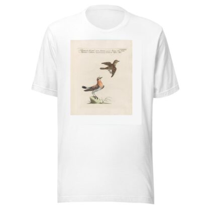 Ornithologia methodice digesta Pl.365 by Saverio Manetti T-Shirt