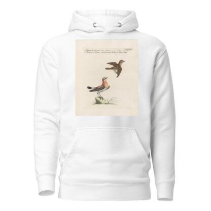 Ornithologia methodice digesta Pl.365 by Saverio Manetti Hoodie