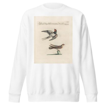 Ornithologia methodice digesta Pl.391 by Saverio Manetti Sweatshirt