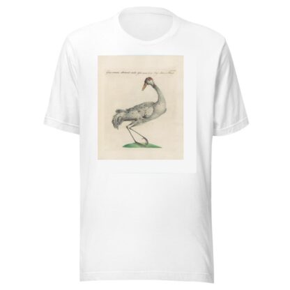 Ornithologia methodice digesta Pl.397 by Saverio Manetti T-Shirt