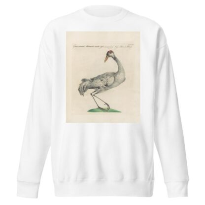 Ornithologia methodice digesta Pl.397 by Saverio Manetti Sweatshirt