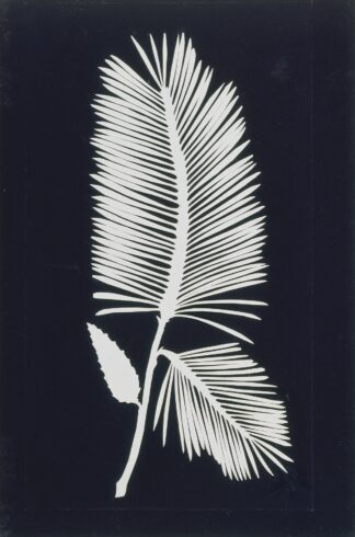 Palmwedel by Philipp Otto Runge