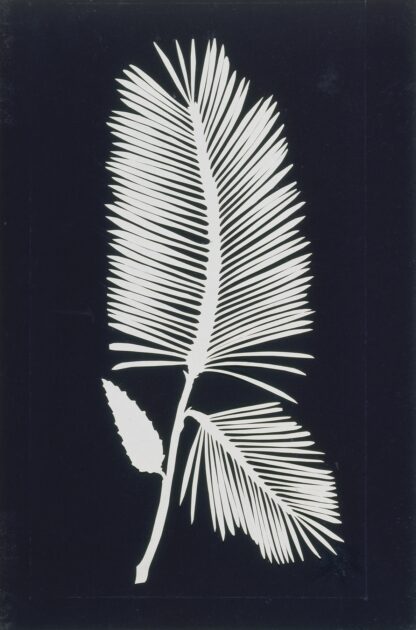 Palmwedel by Philipp Otto Runge