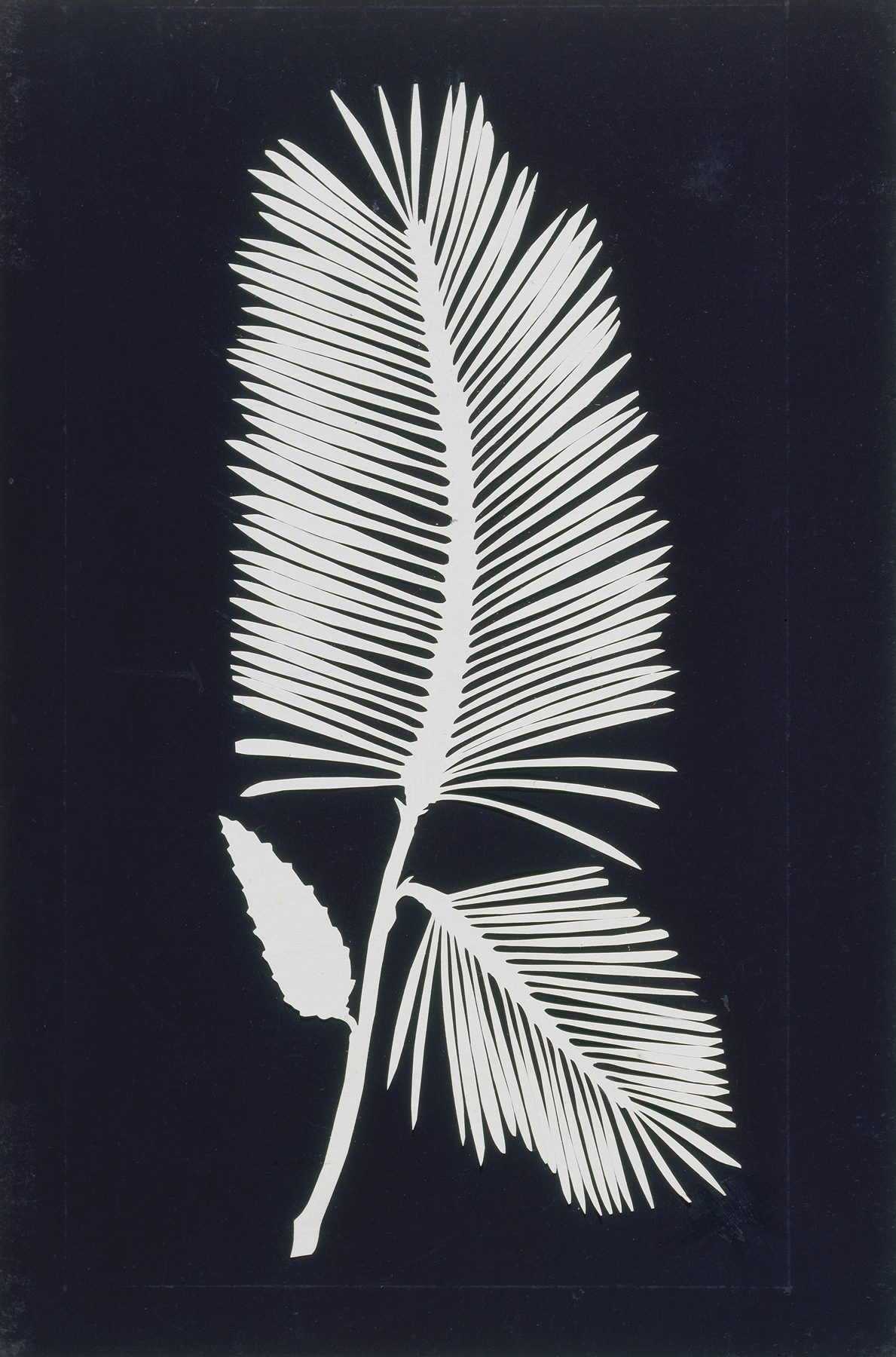 Palmwedel by Philipp Otto Runge