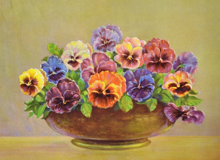 Pansy by Lafayette F. Cargill