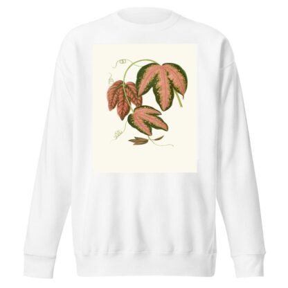 Passiflora Trifasciata by Edward Joseph Lowe Sweatshirt