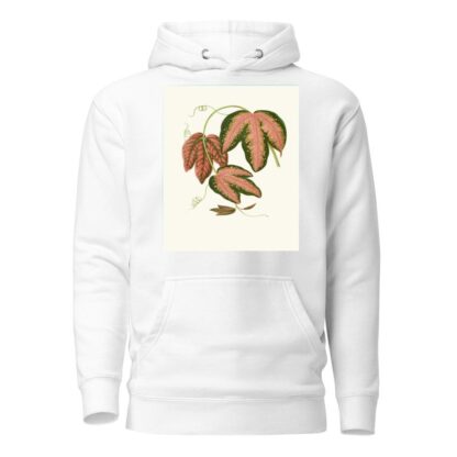 Passiflora Trifasciata by Edward Joseph Lowe Hoodie