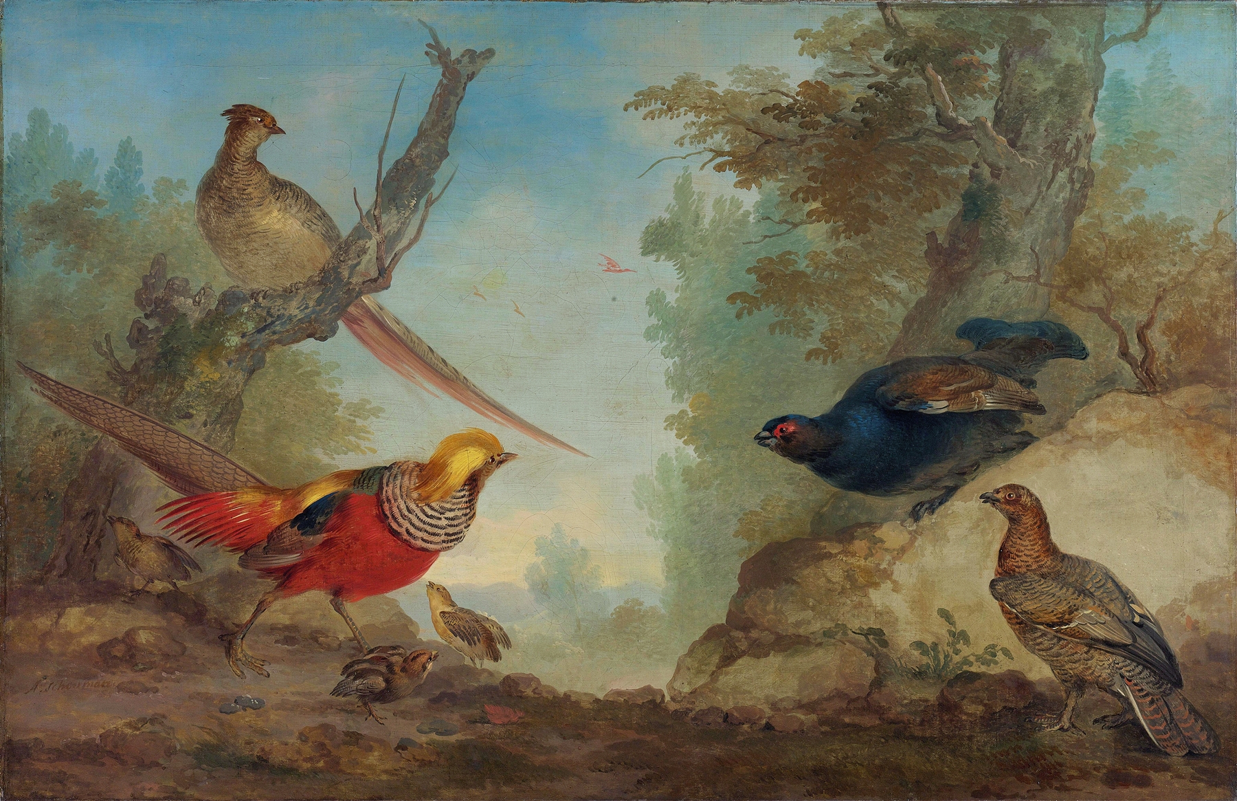 Pheasants by Aert Schouman