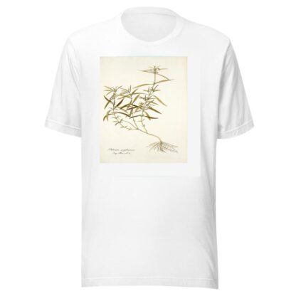 Phlomis zeylanica by Nikolaus Joseph Freiherr von Jacquin T-Shirt