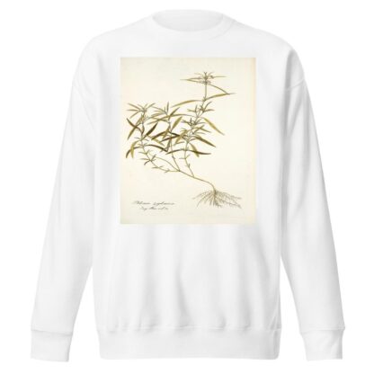 Phlomis zeylanica by Nikolaus Joseph Freiherr von Jacquin Sweatshirt