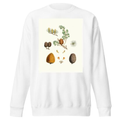 Pinus deodara = Indian cedar by Aylmer Bourke Lambert Sweatshirt