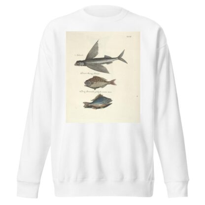Piscium, serpentum, insectorum, aliorumque nonnullorum animalum nec non plantarum quarundam imagines Pl.008 by Mark Catesby Sweatshirt