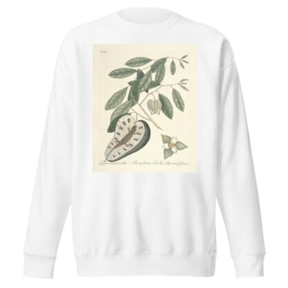 Piscium, serpentum, insectorum, aliorumque nonnullorum animalum nec non plantarum quarundam imagines Pl.067 by Mark Catesby Sweatshirt