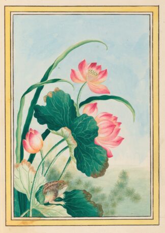 Plantes de Chine Pl.027 by Pierre Joseph Buchoz