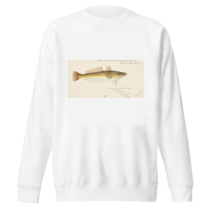 Platycephalus bassensis by Frank Edward Clarke Sweatshirt