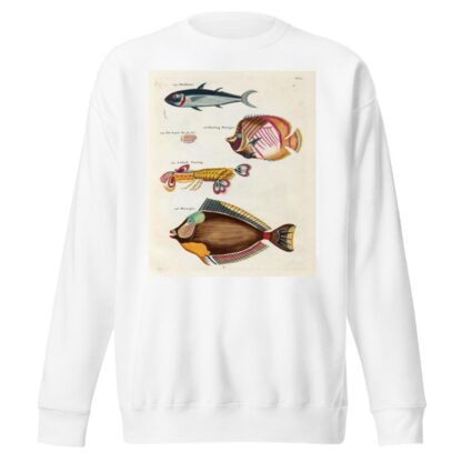 Poissons, ecrevisses et crabes, de diverses couleurs et figures extraordinaires.. Pl.023 by Louis Renard Sweatshirt